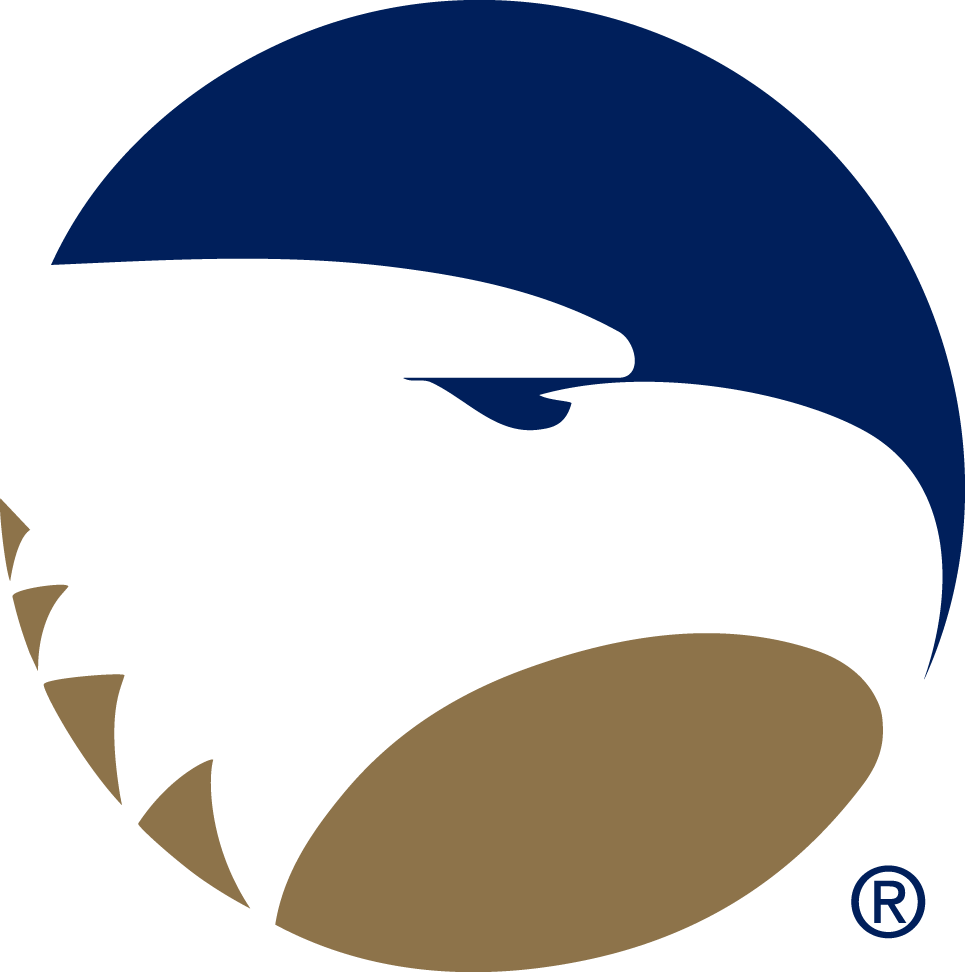 Georgia Southern Eagles 2004-Pres Alternate Logo vinyl decal